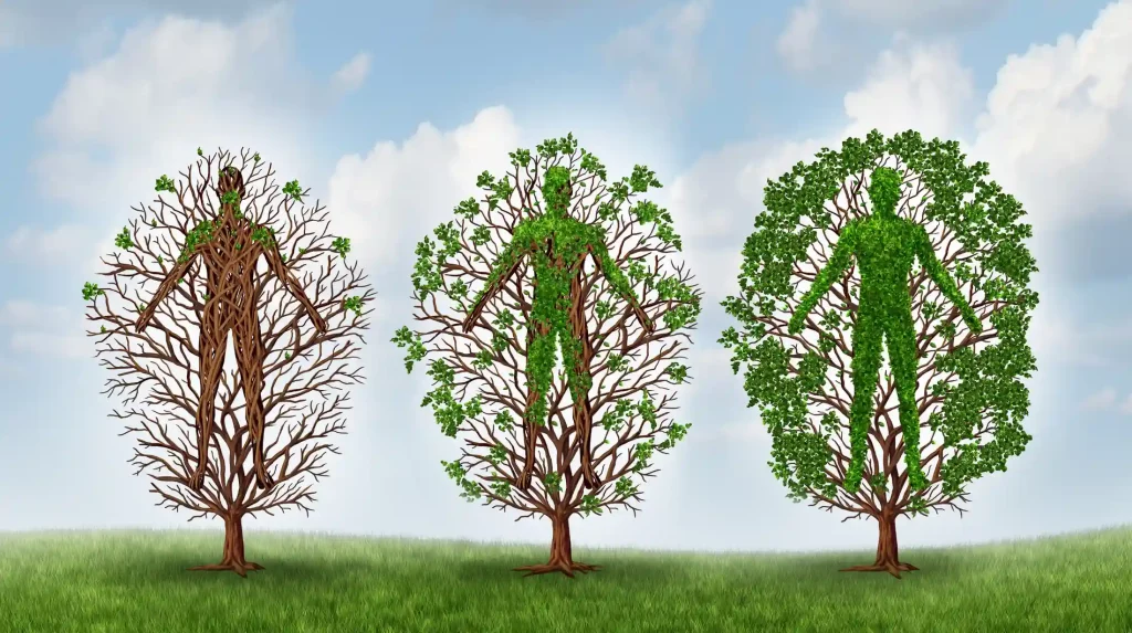 Recovery und Regeneration