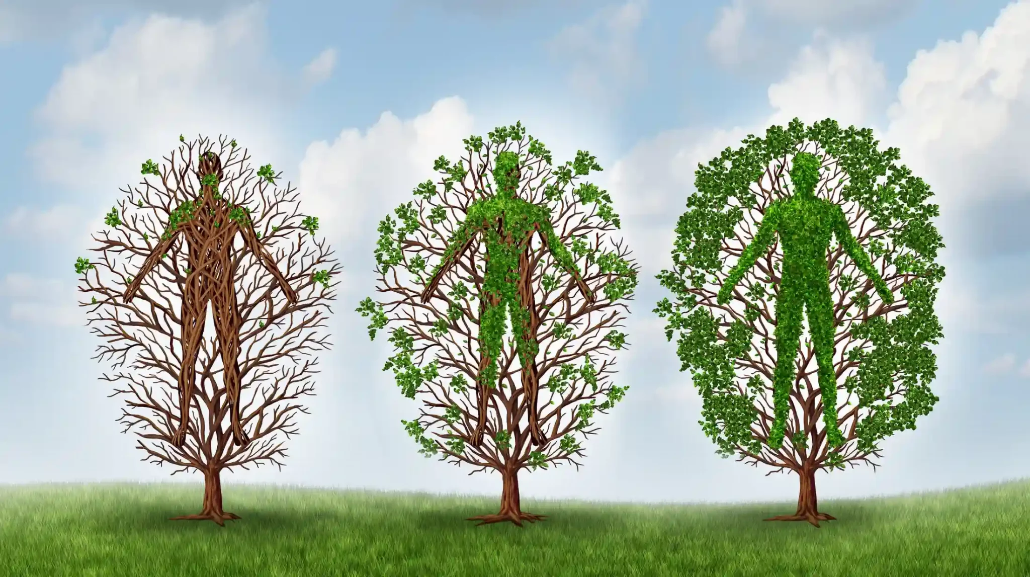 Recovery und Regeneration